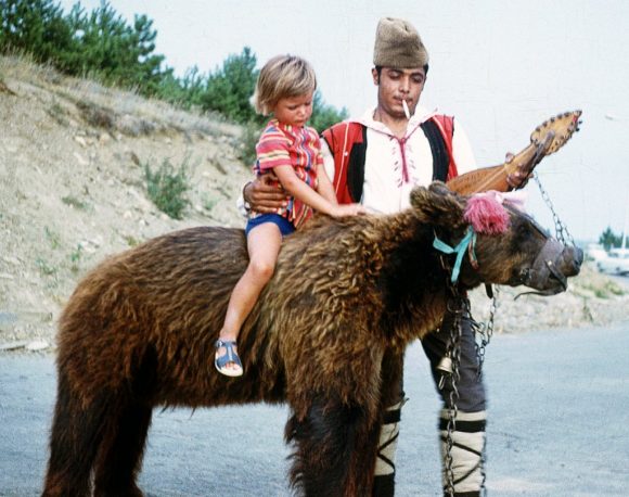 prima di finire nel parco degli orsi danzanti questi animali venivano usati per foto ricordo con turisti