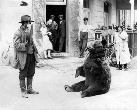 antico orso ballerino